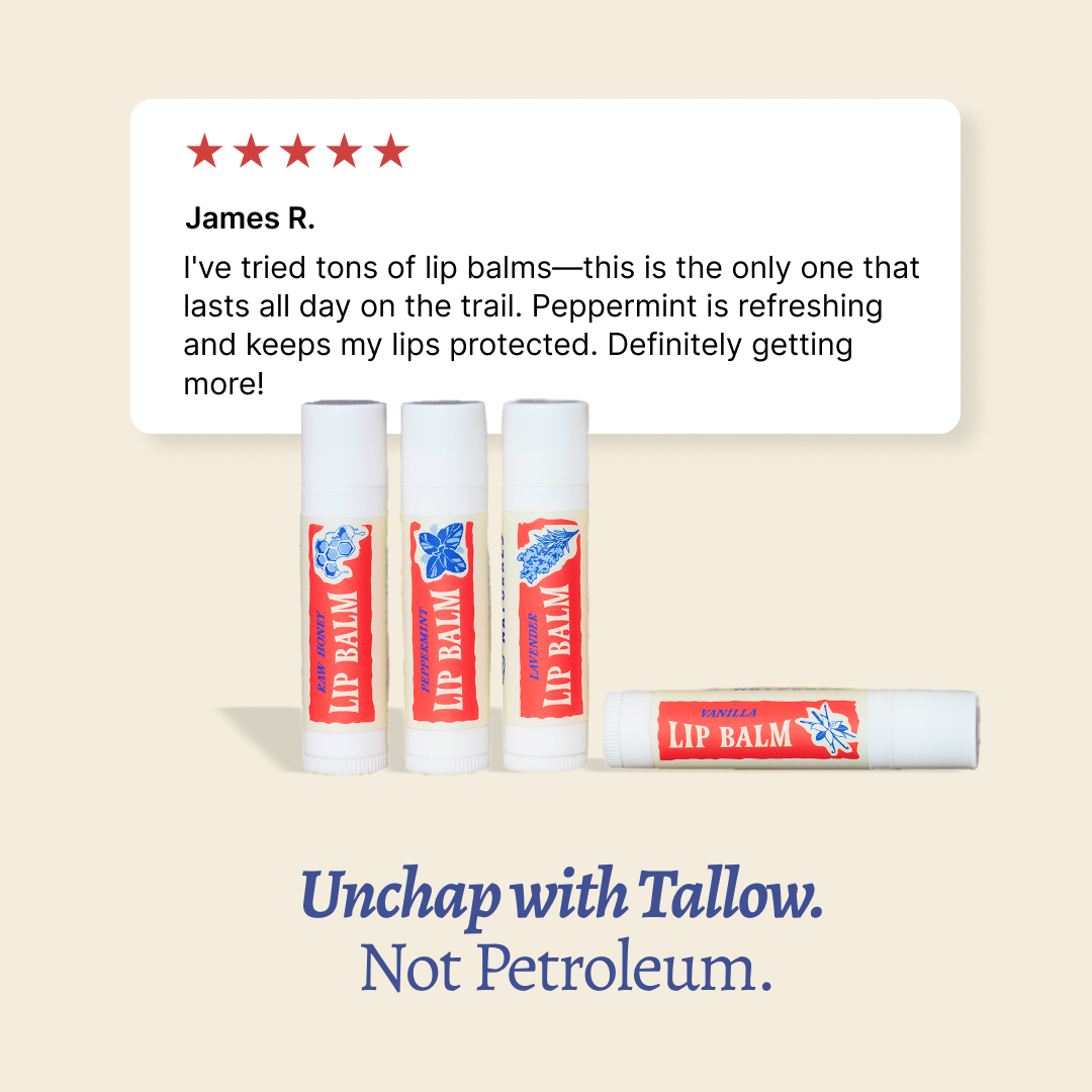 Tallow Lip Balm (5 Pack)